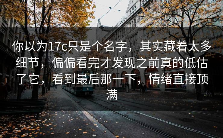 你以为17c只是个名字，其实藏着太多细节，偏偏看完才发现之前真的低估了它，看到最后那一下，情绪直接顶满